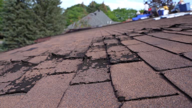 Best Sheet Metal Roofing  in East Cleveland, OH