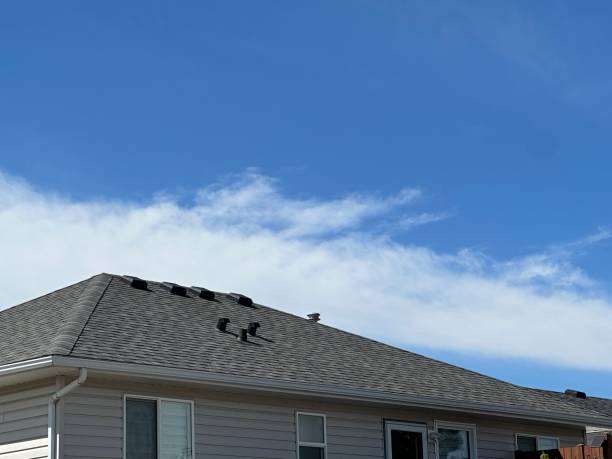 Best Metal Roofing Installation  in East Cleveland, OH
